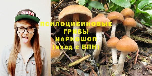 мескалин Армянск